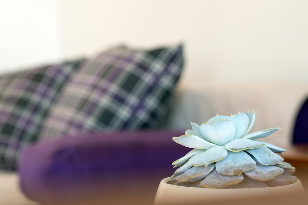 Beach Guesthouse Mediteran ポドストラナ 部屋 写真