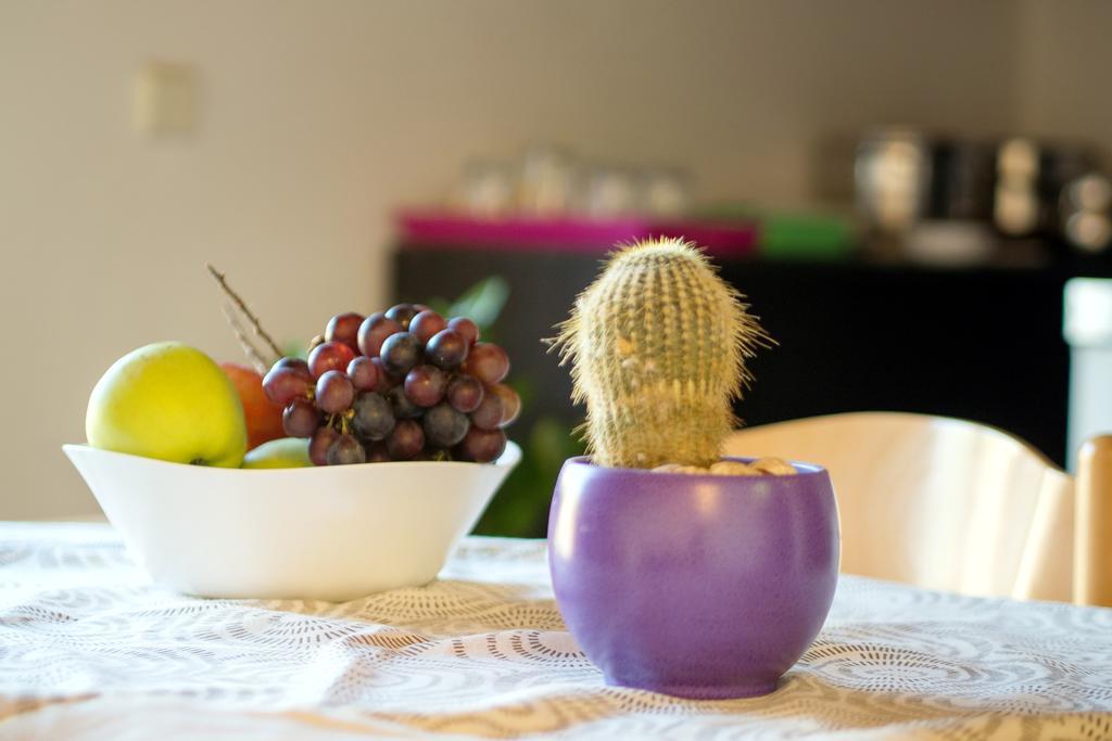 Beach Guesthouse Mediteran ポドストラナ 部屋 写真